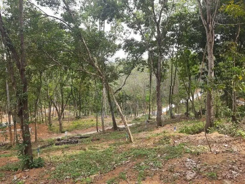 Residential Land for Sale in Nelundeniya