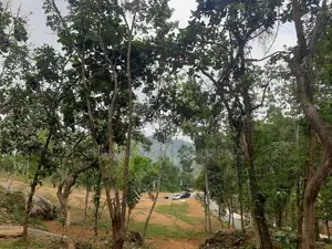 Residential Land for Sale in Nelundeniya