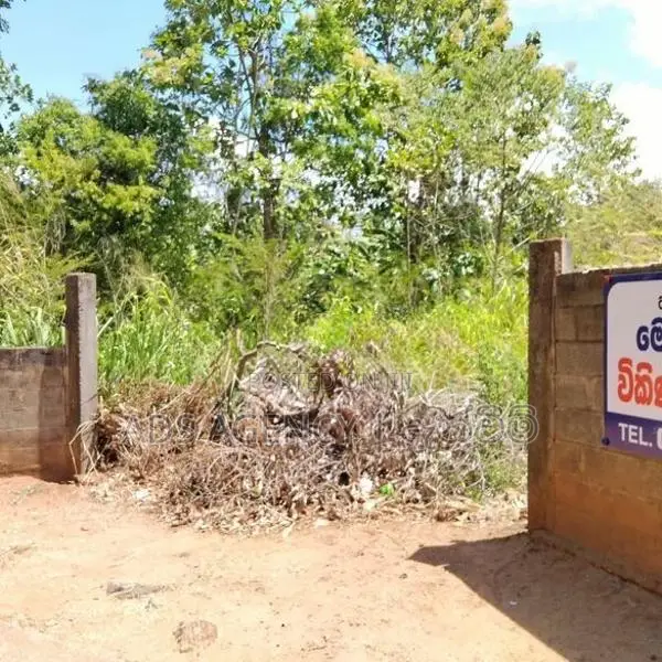 Land For Sale in Rathnapura