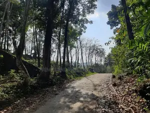 Residential Land for Sale in Nelundeniya