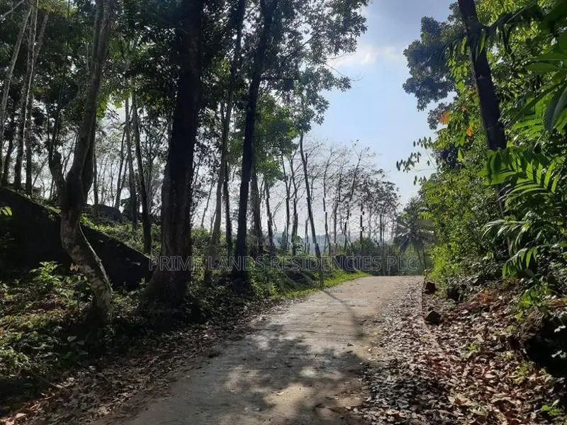 Residential Land for Sale in Nelundeniya
