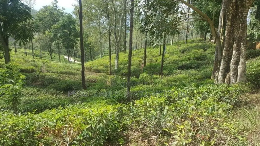 Land for Sale in Pussellawa