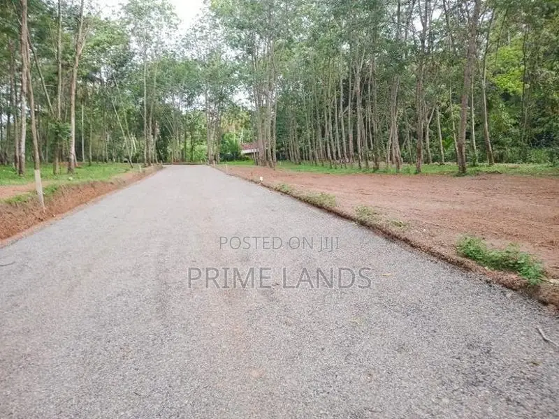 Land for Sale in Diwulapitiya