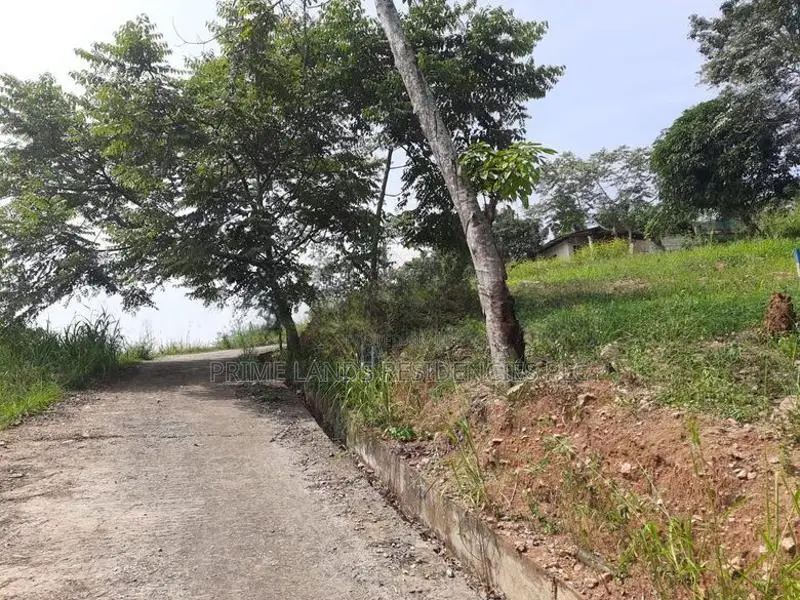 Land for Sale in Uthuwankanda