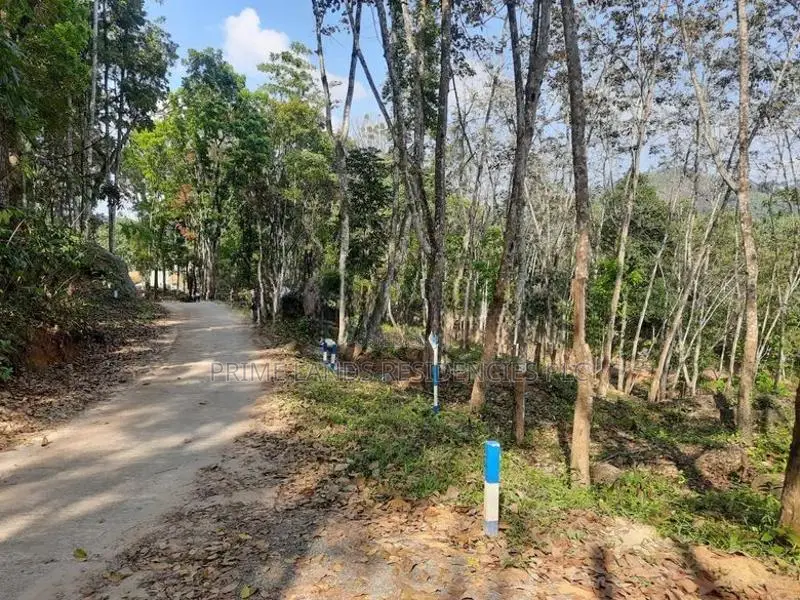 Land for Sale in Nelundeniya
