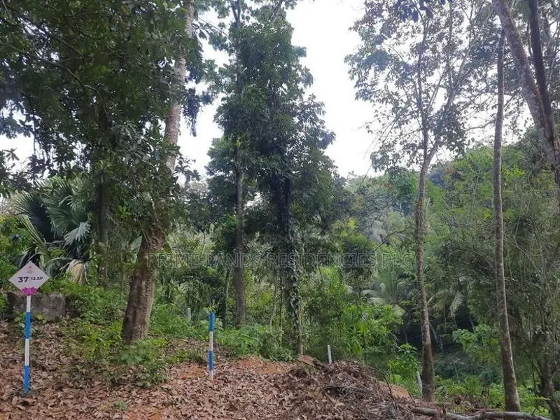 Land for Sale in Nelundeniya