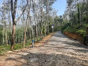 Land for Sale in Nelundeniya