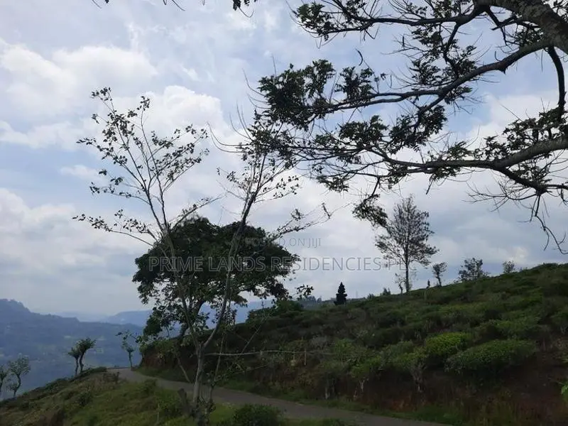 Land for Sale in Pundaluoya