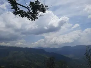 Land for Sale in Pundaluoya