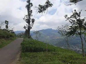 Land for Sale in Pundaluoya