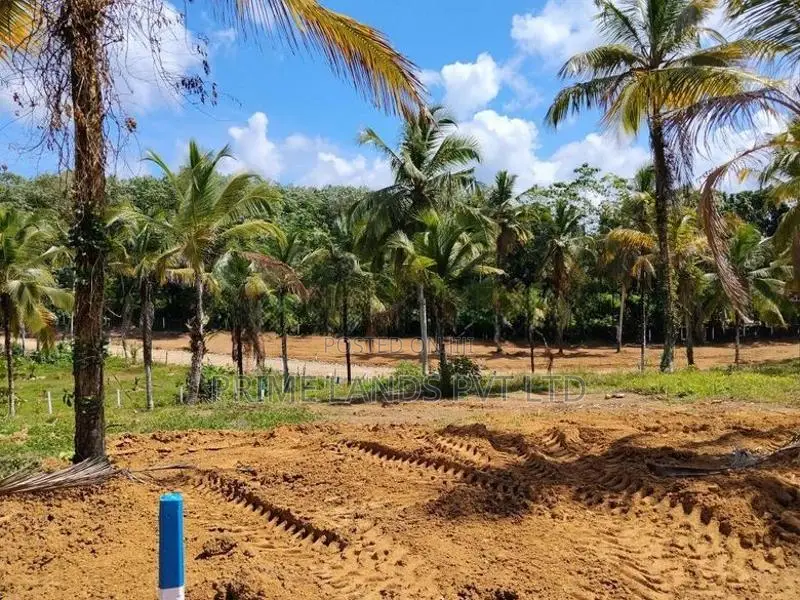 මතුගම නගරයට ආසන්නයෙන් ඉඩම් කැබලි විකිණීමට