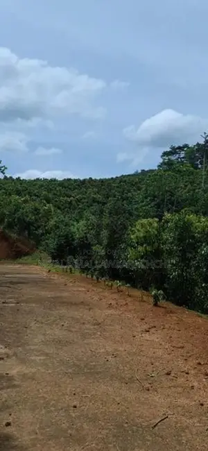 Cinnamon Planted Land for Sale in Mulatiyana Road, Matara