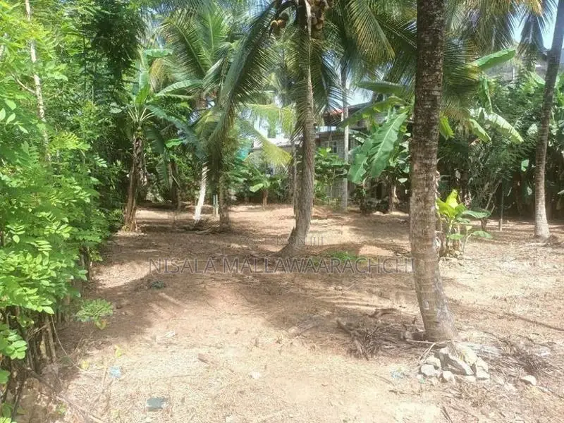 Valuable Land for Sale in Maharagama