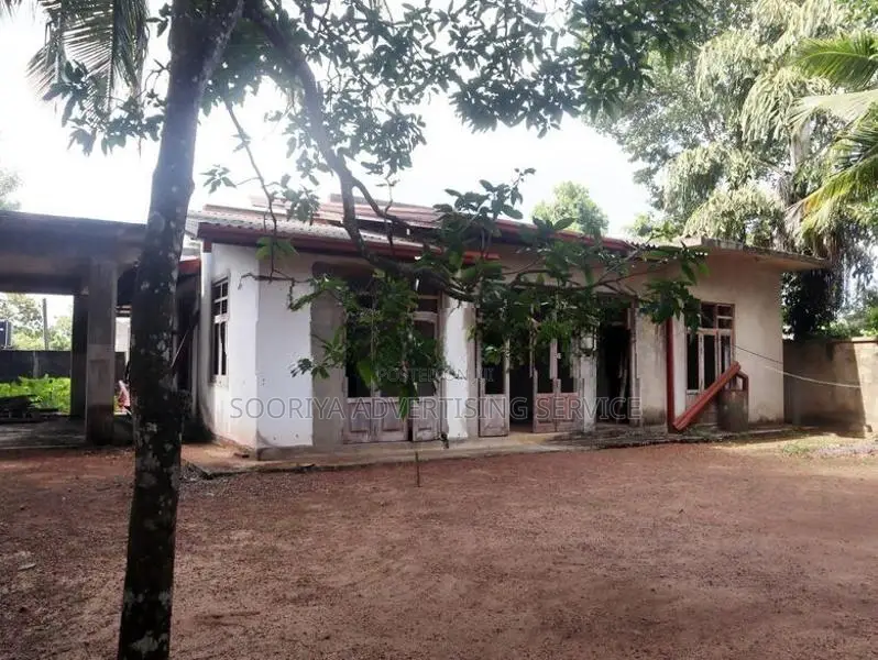 Spacious 5-Bedroom Home with Great Potential
