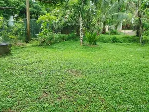 Kadawatha 12.5 Perches Land for Sale (SSPL-491)