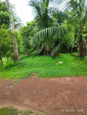 Kadawatha 12.5 Perches Land for Sale (SSPL-491)