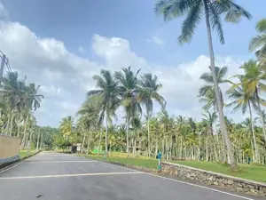 Lands for sale in Udugampola