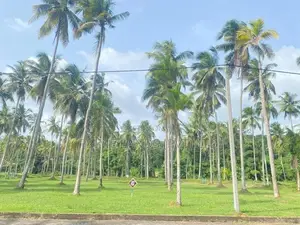 Lands for sale in Udugampola