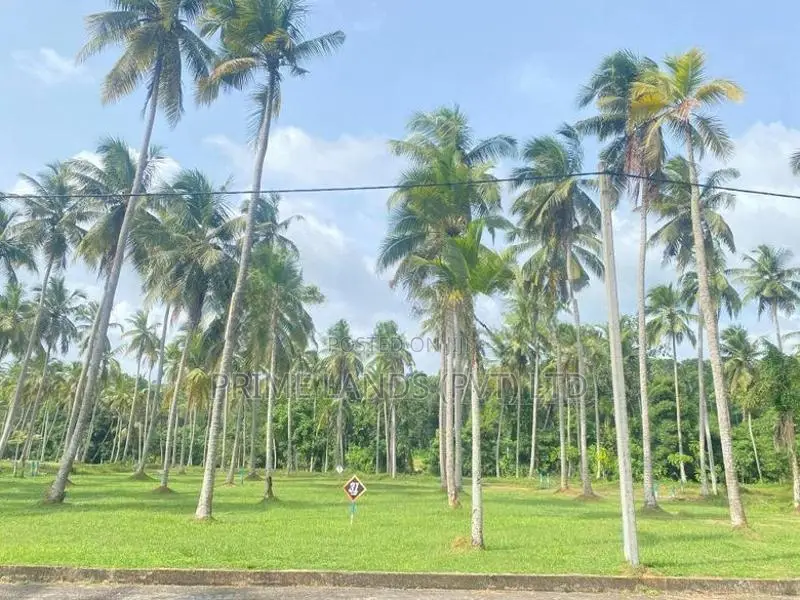 Lands for sale in Udugampola
