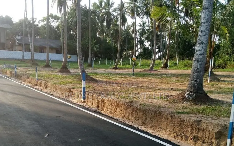 නයිවල පදිංචියට හොඳම තැනින් නේවාසික බිම්කොටස්