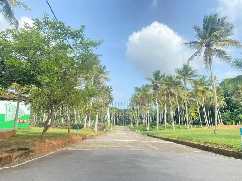 Lands for sale in Udugampola