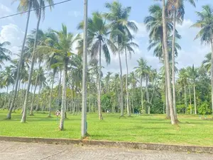 උඩුගම්පොළින් නේවාසික බිම්කොටස්