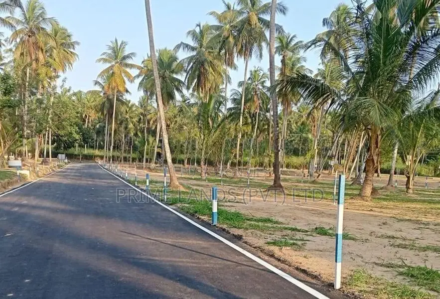 නයිවල පදිංචියට හොඳම තැනින් නේවාසික බිම්කොටස්