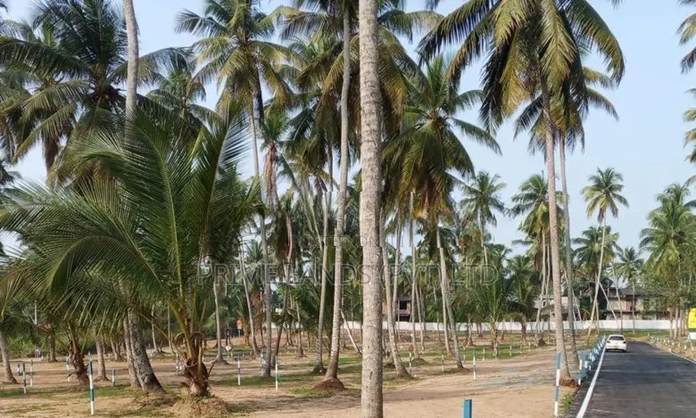 නයිවල පදිංචියට හොඳම තැනින් නේවාසික බිම්කොටස්