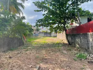 19 P Land for Sale in Thalahena