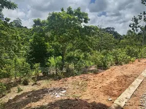 Land for Sale Ambalangoda