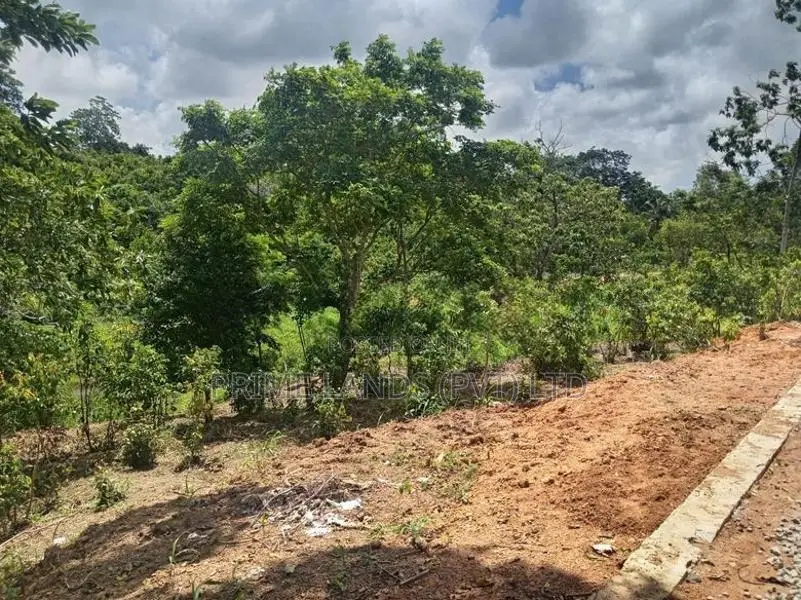 Land for Sale Ambalangoda