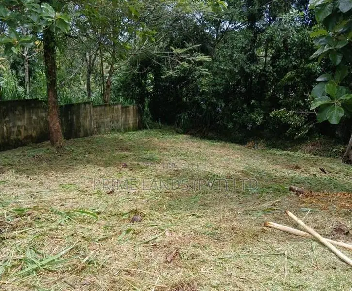 land in kadawatha - walipillawa