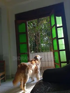 Two Story House For Sale In Badulla Town