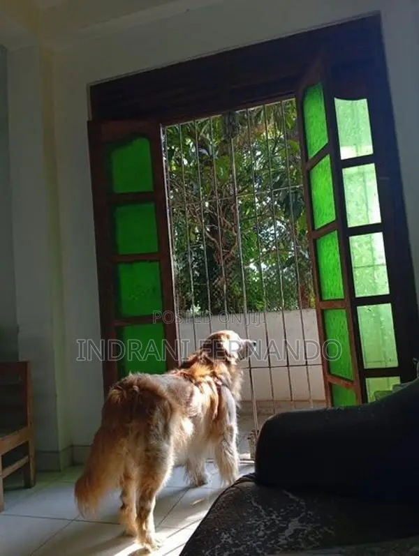 Two Story House For Sale In Badulla Town