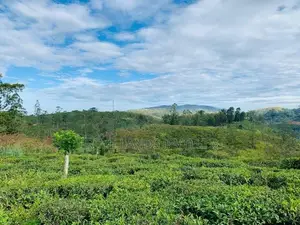 Land for Sale in Pussellawa