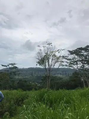 Land for Sale in Pussellawa