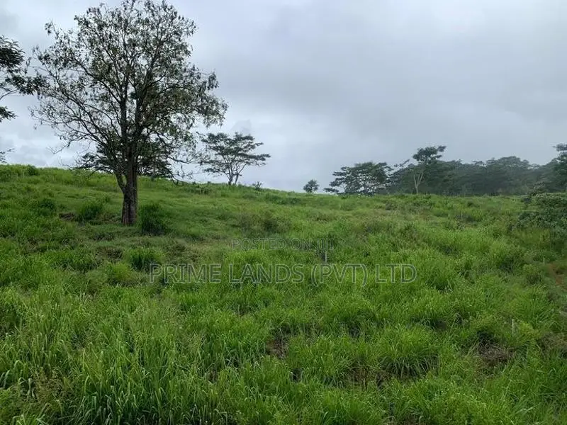 Land for Sale in Pussellawa