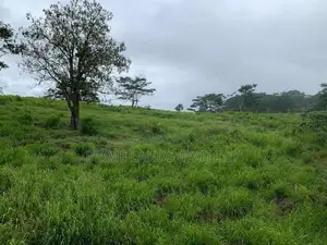 Land for Sale in Pussellawa