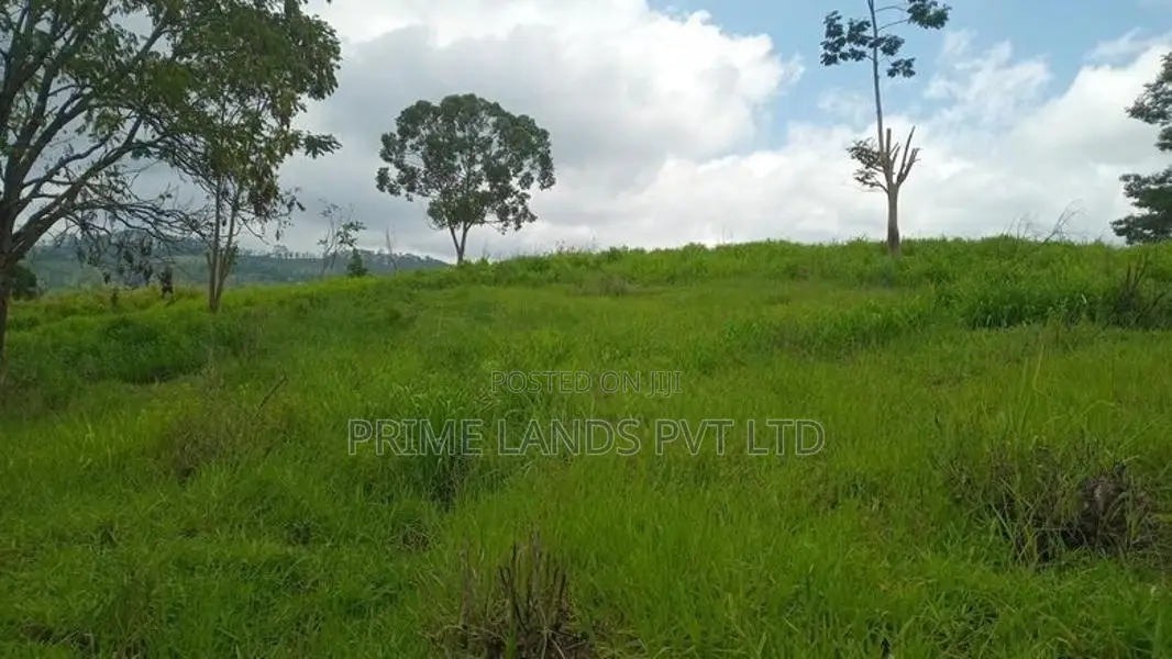 Land For Sale Pussellawa