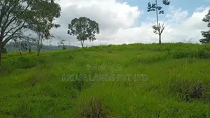 Land For Sale Pussellawa