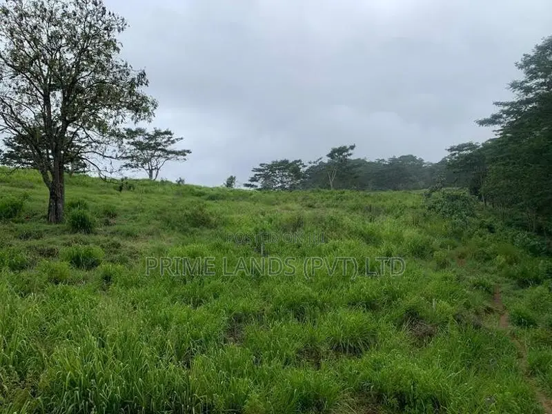 Land for Sale in Pussellawa