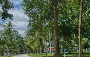 Residential land plots in Minuwangoda