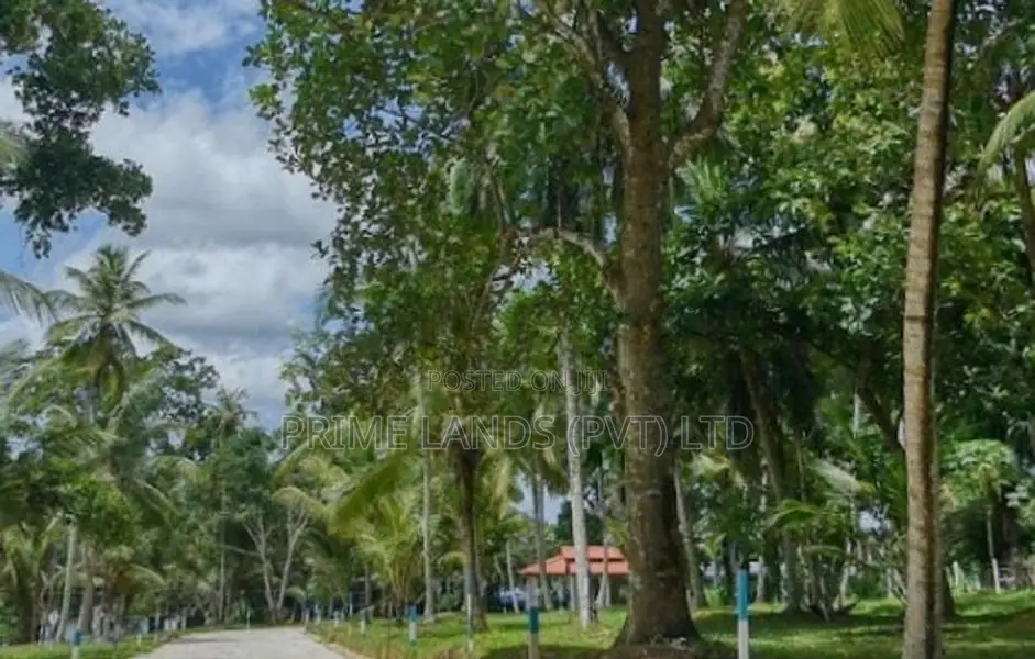 Residential land plots in Minuwangoda