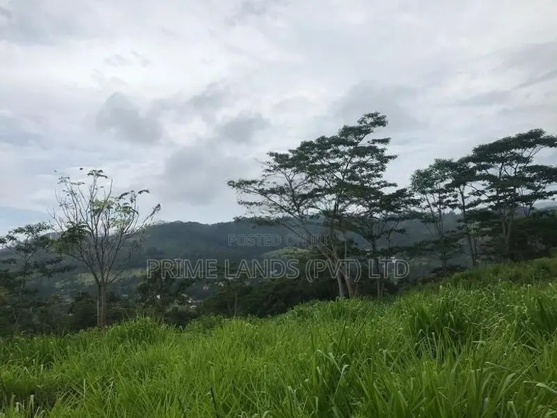 Land for Sale in Pussellawa
