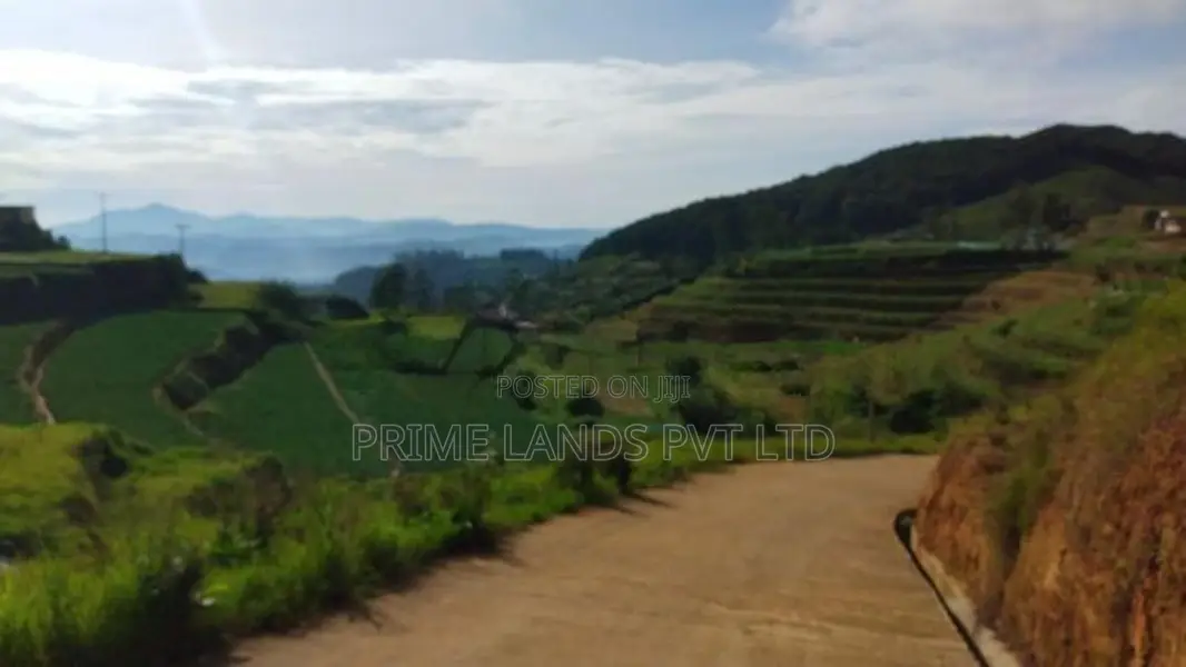 Land For Sale Ambewela