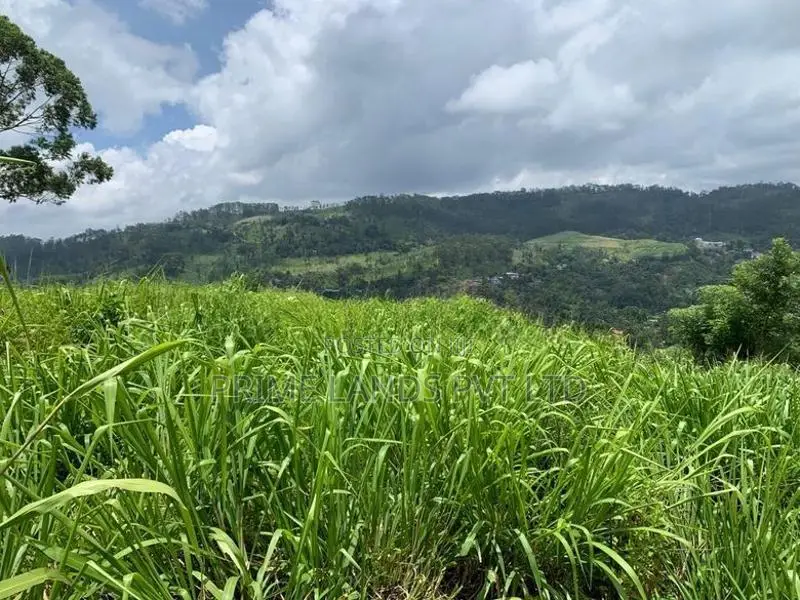Land For Sale Pussellawa