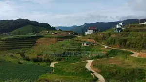 Land For Sale Ambewela