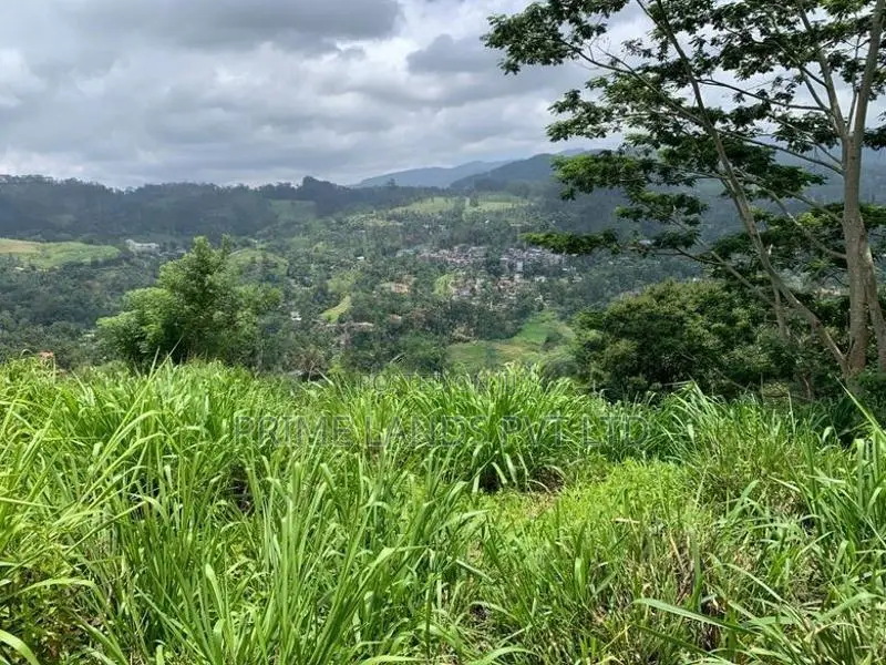 Land For Sale Pussellawa