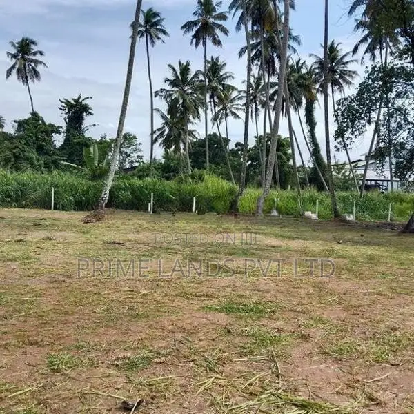 පැල්ලන්දෙණිය හන්දියෙන්ම සුපිරි ඉඩමක්