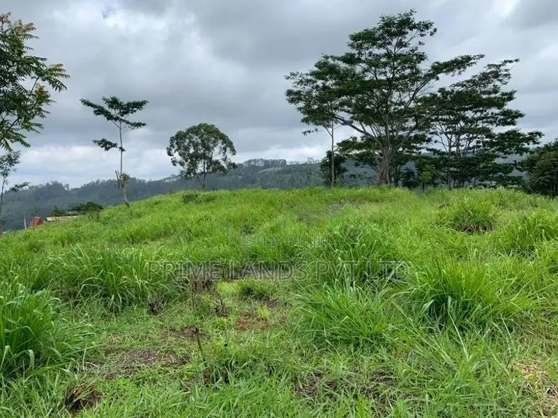 Land For Sale Pussellawa